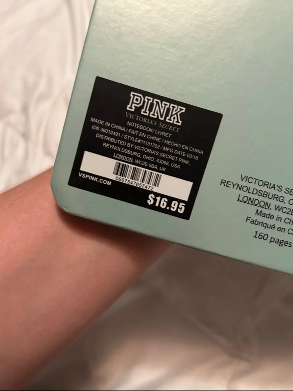 PINK Victoria's Secret Mint Green Notebook